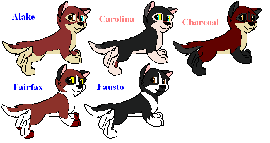 The Litter!