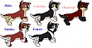 The Litter!