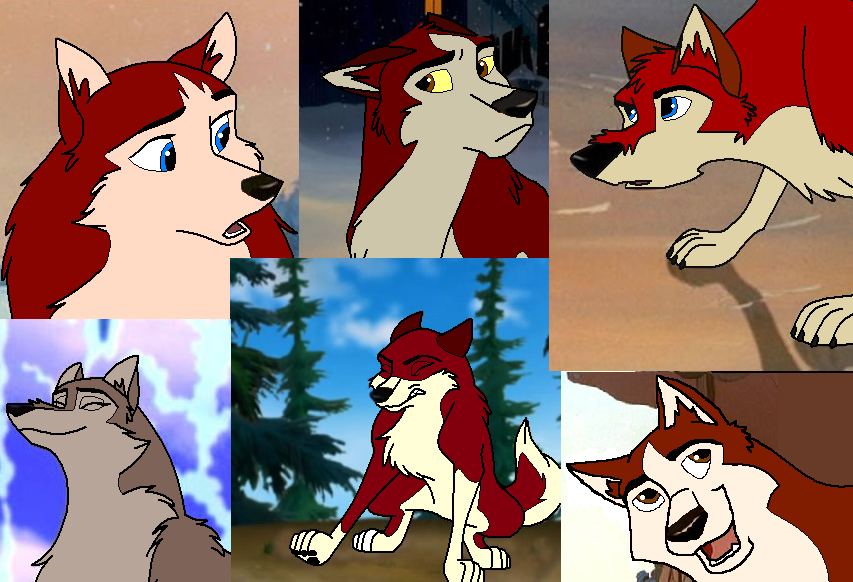 Balto's Pups!!!