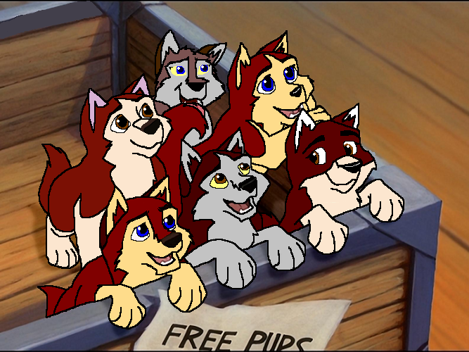 Balto' pups