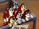 Balto' pups