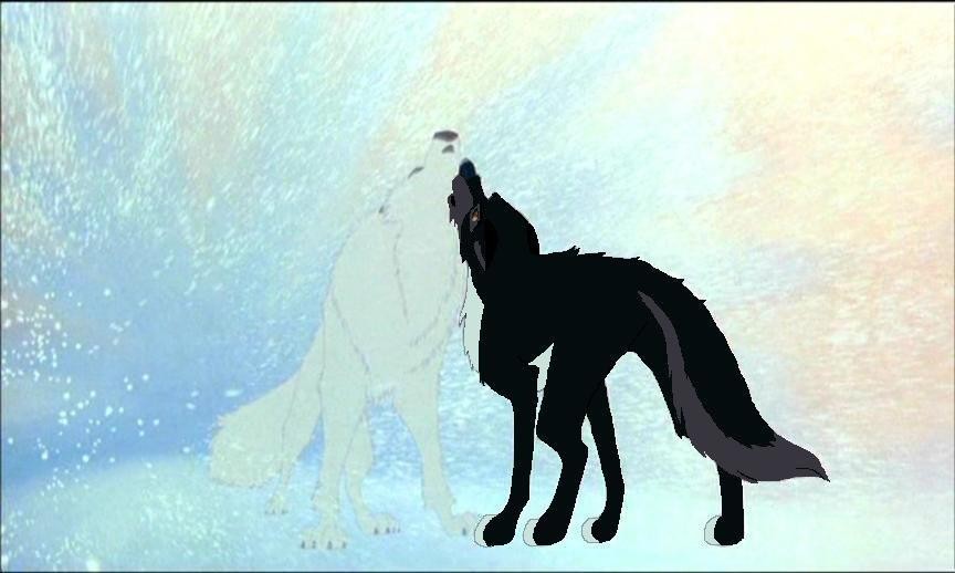 Buck and Aniu