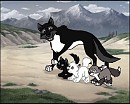 Buck and Pups