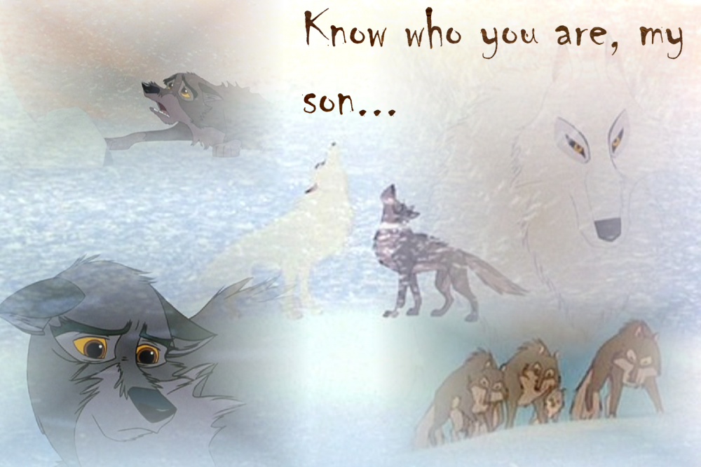 Aniu Week!