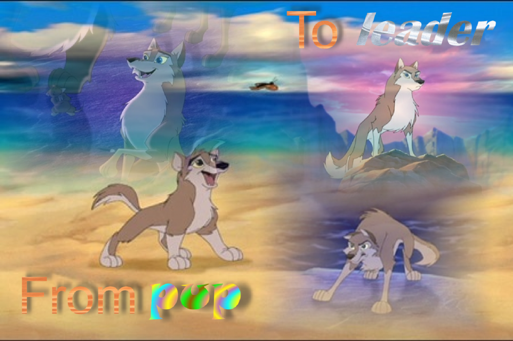 From pup to Leader