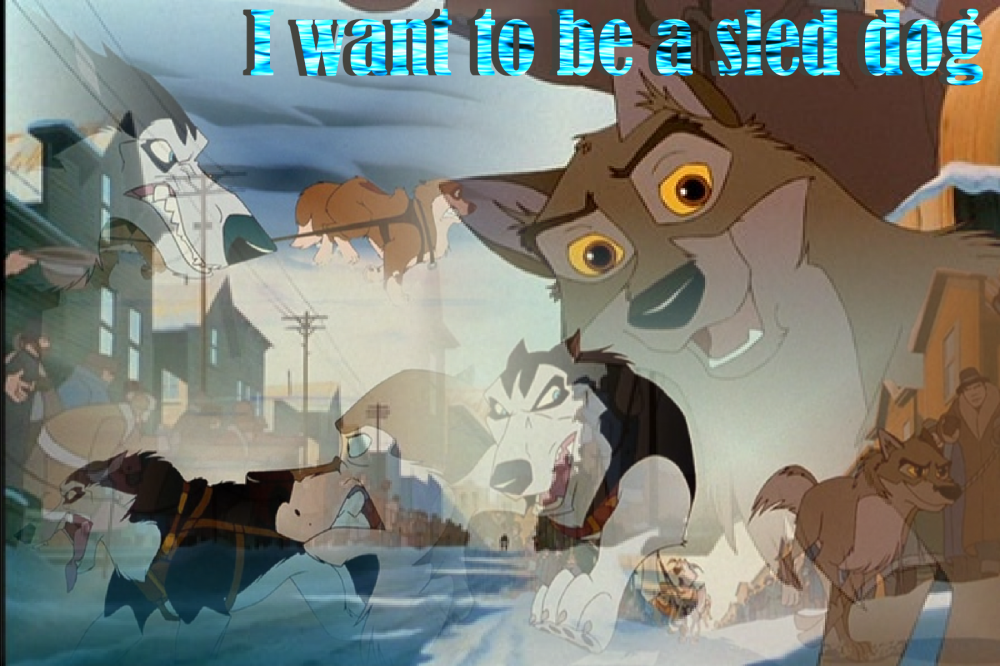 I wanna be a sled dog!