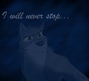 I will never stop...