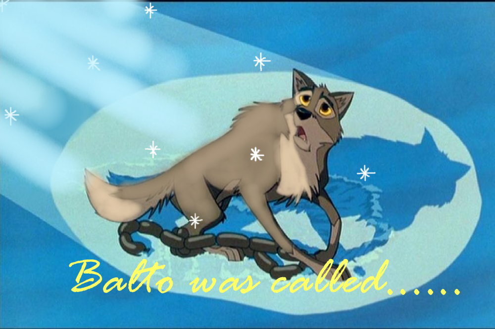 Balto was called......