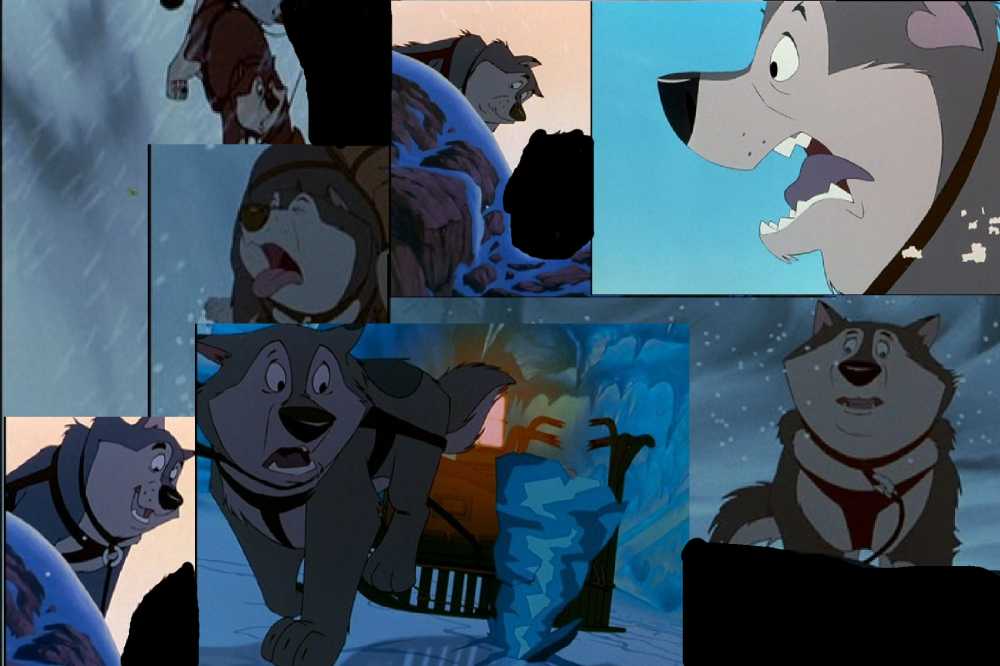 Random dog collage 2