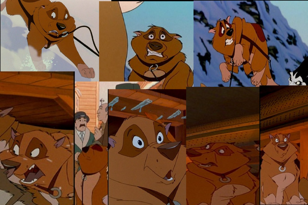 Random dog Collage 3