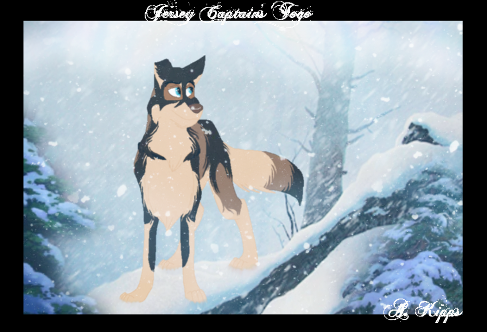..:: Jersey Captain's Togo_Gift/Render ..::