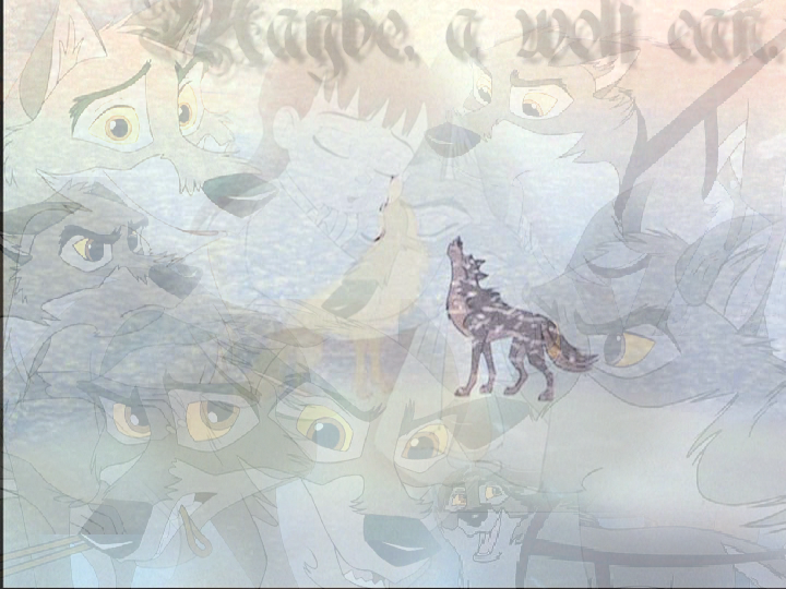 ..:: Maybe, A wolf can ..::