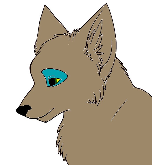 Kohana