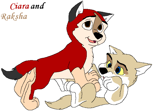 Saba pups 