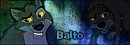 Balto Signature.