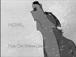 H.O.W.L