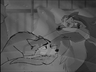 I'll wait for you....
