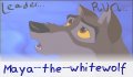 maya_the_whitewolf_517