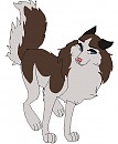 Lady Or Tomboy Base