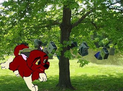Red under an apple tree. 