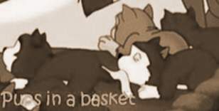 Pups In A Basket