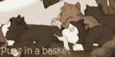 Pups In A Basket