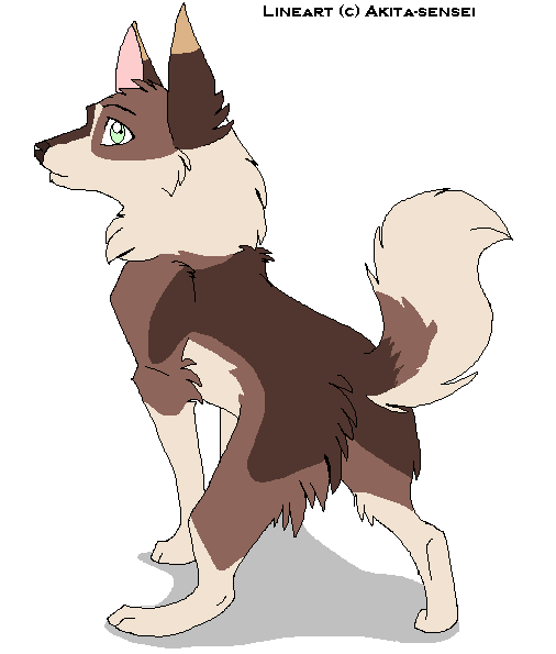 New characteeer.