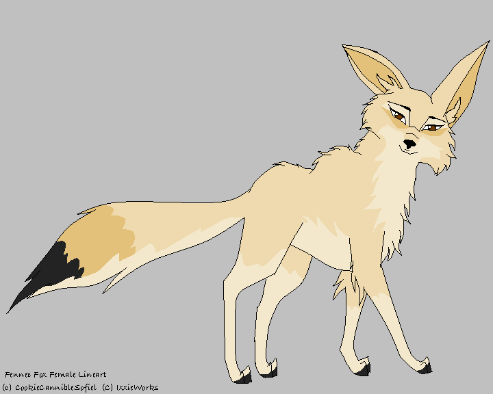 Indiana-My resurrected fennec fox char