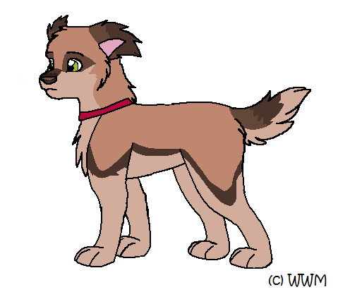 Vienna pup