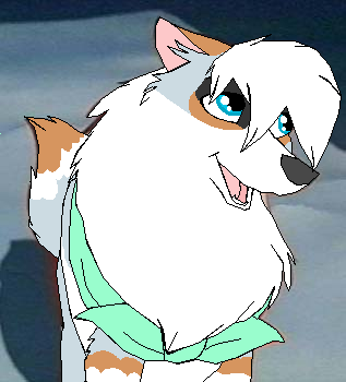 Tara
