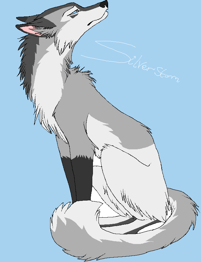 Elegant Silverstorm