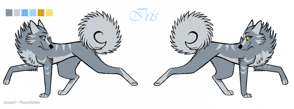 Iris ref