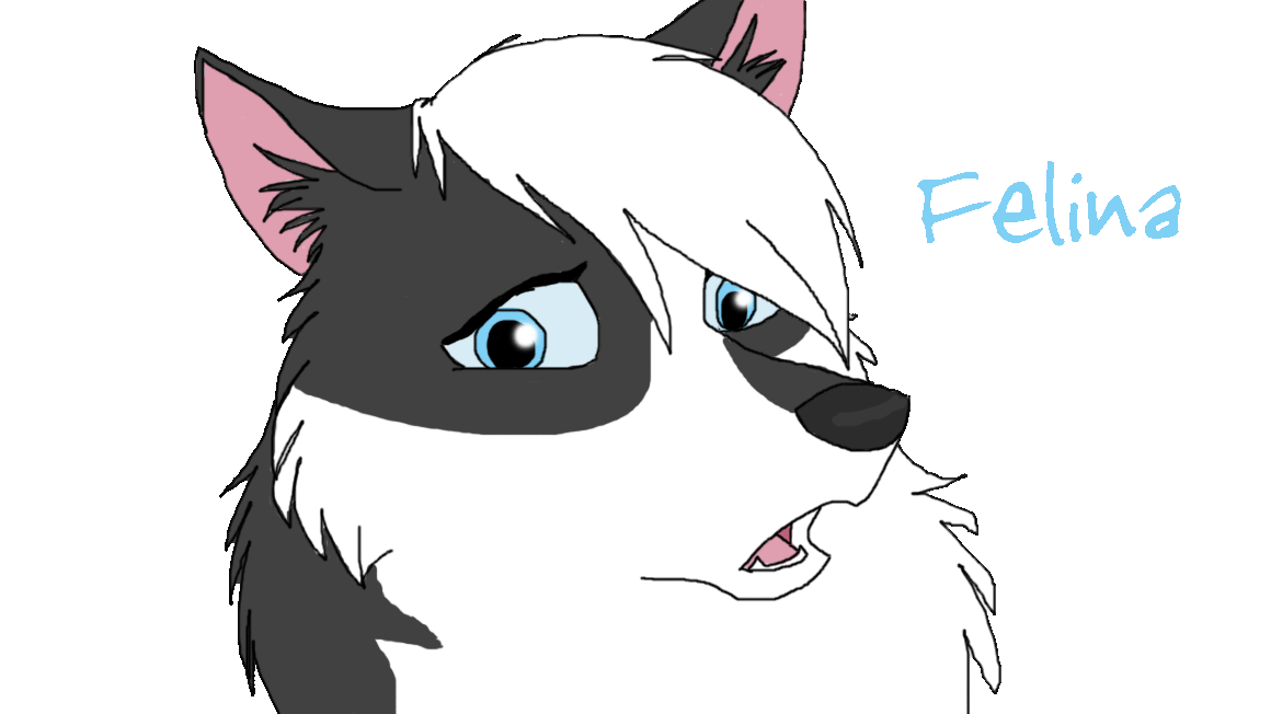 Transparent Felinaaaaa~