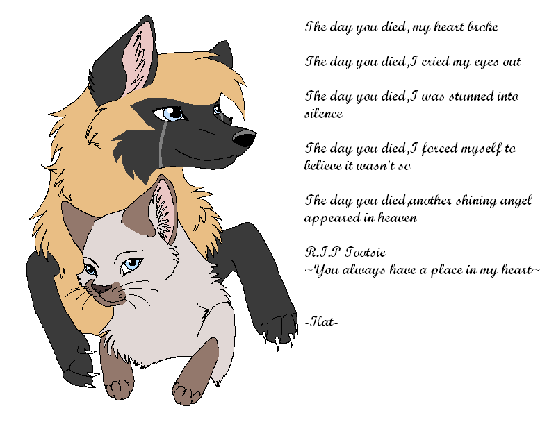 The Day You Died