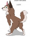 Aleu