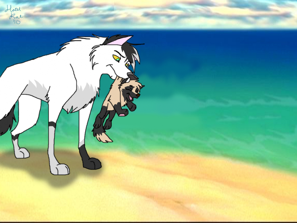 Techynuu and Bweezeh Wheezeh 