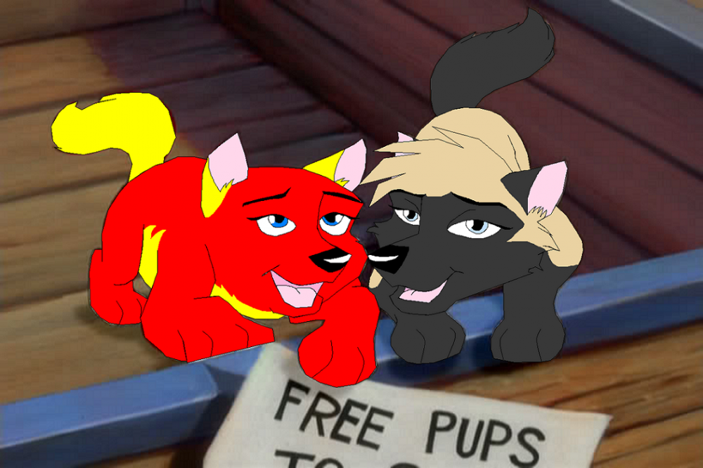 Fire and Kat as puppies.