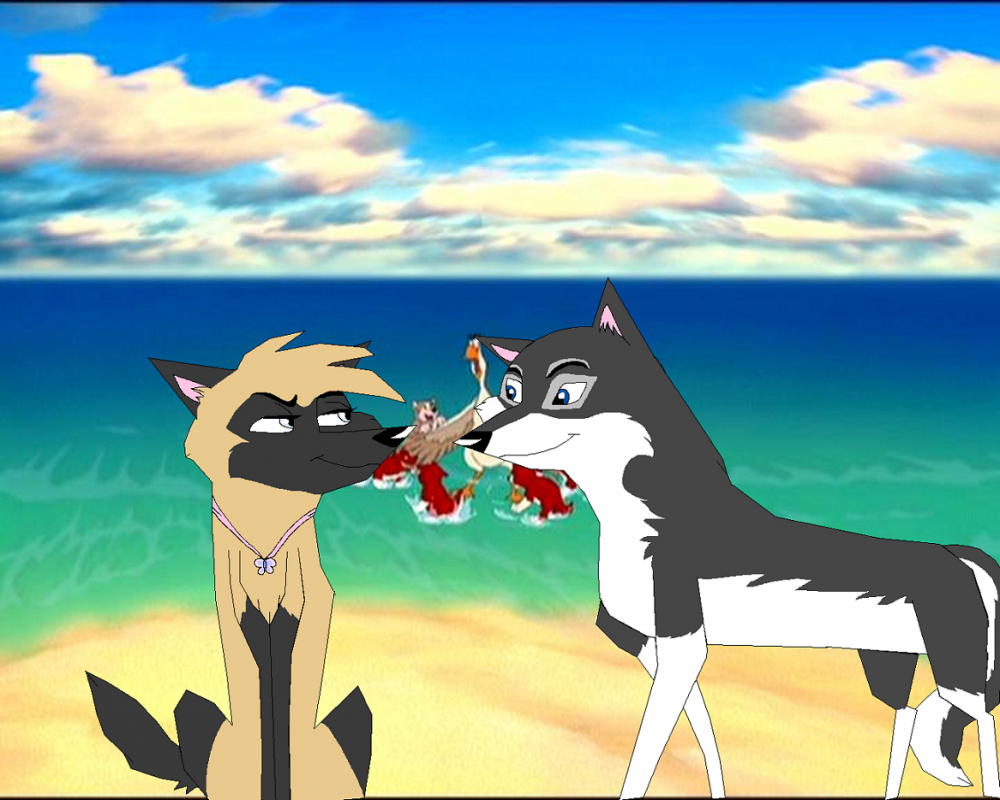 Gift for Yukon.