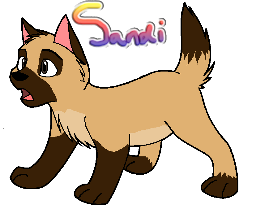 Sandi.