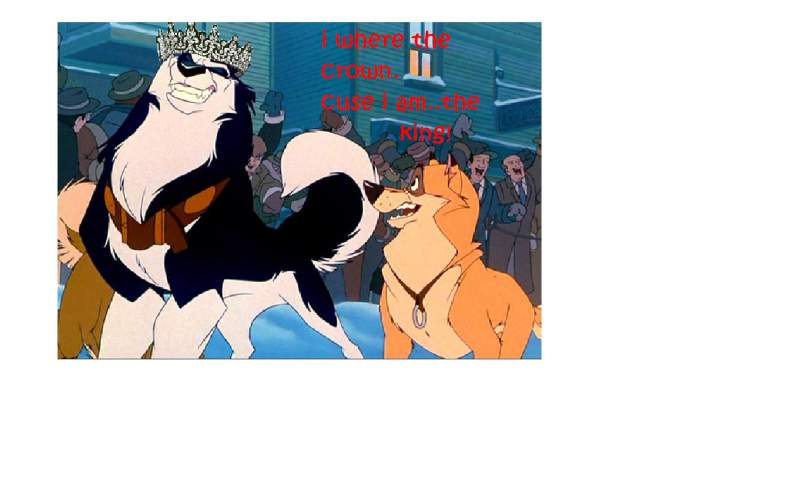 steal is the king