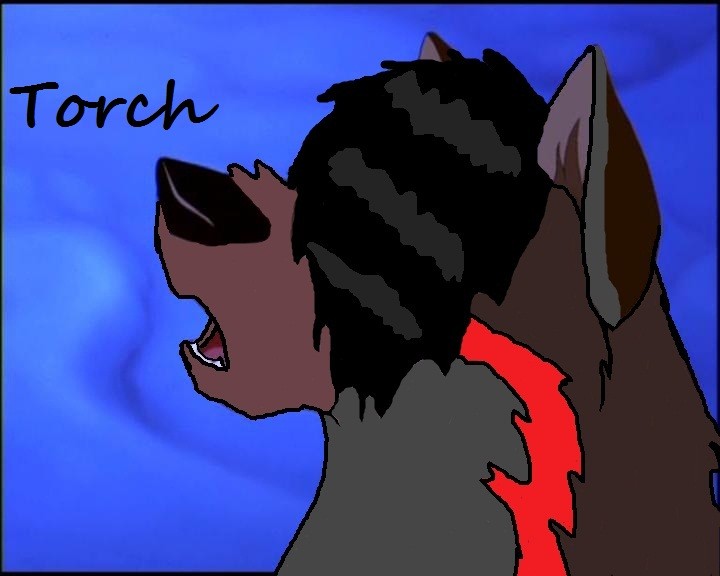 Torch