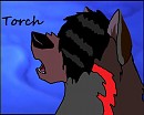 Torch