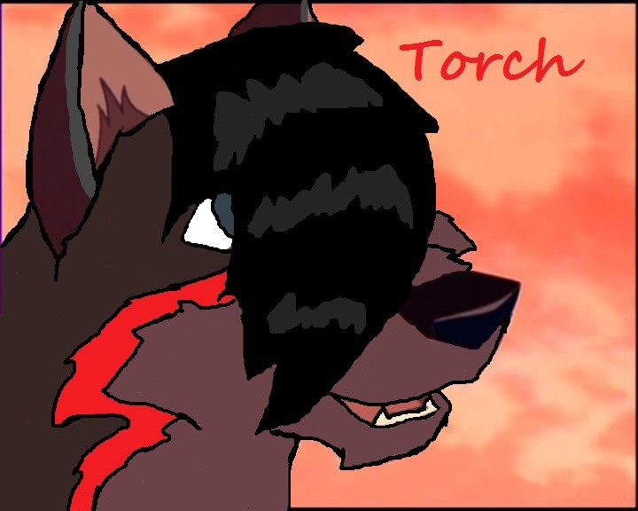 Torch Smiling