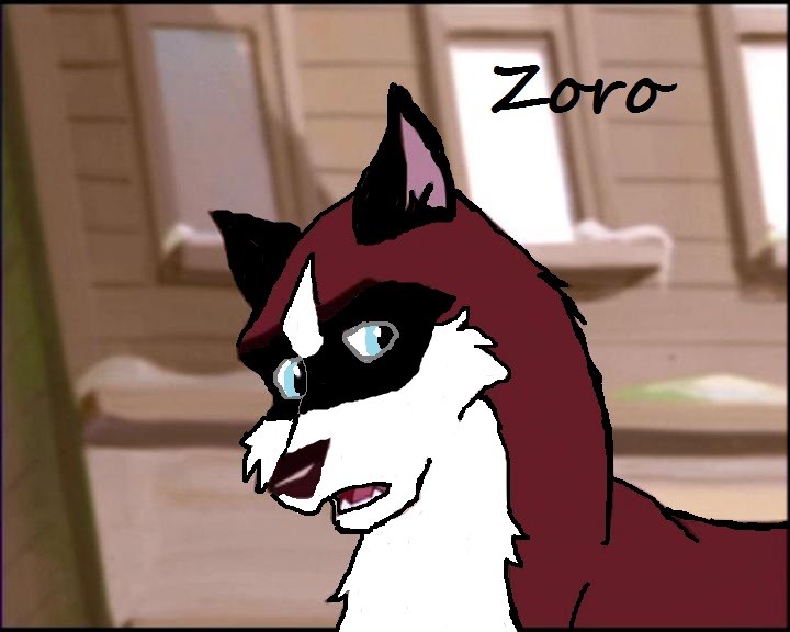 Zoro