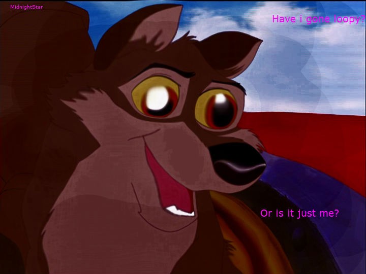 Balto Avvie again