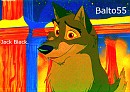 Avvie for Balto55
