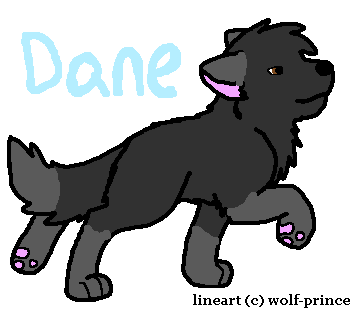 NEW PUPPY CHAR