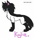 Kylie random