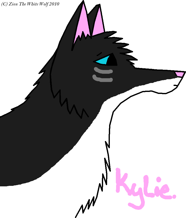 Kylie <3