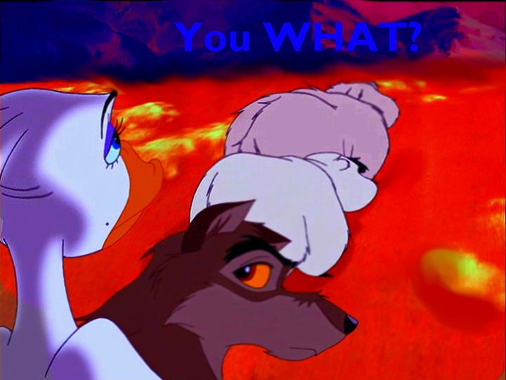 You WHAT?